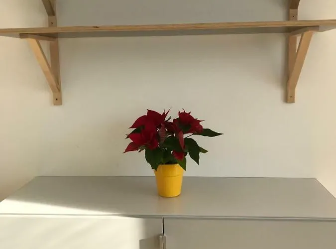 Seehaus Familie Leifer *