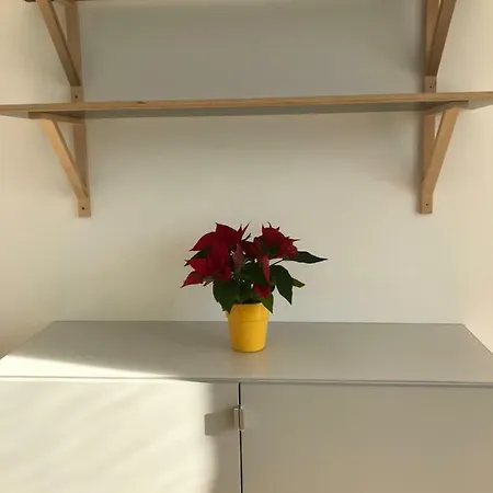 Seehaus Familie Leifer *